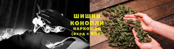 гидропоника Горняк