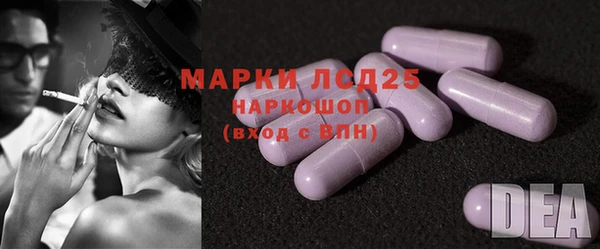 амф Гусь-Хрустальный