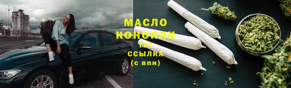 амф Гусь-Хрустальный