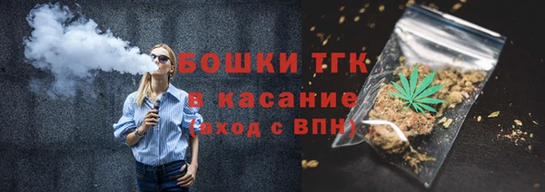 амф Гусь-Хрустальный