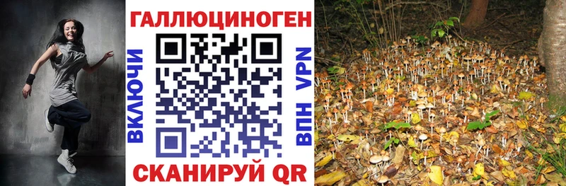 Галлюциногенные грибы Psilocybine cubensis  Чудово 